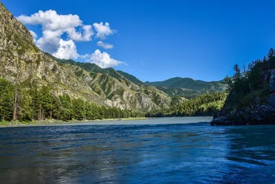 Катунь. С туманом. Фотограф Андрей Поляков