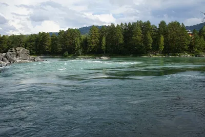 Река Катунь, Горный Алтай — на карте, фото, глубина, отдых, сплав, рыбалка