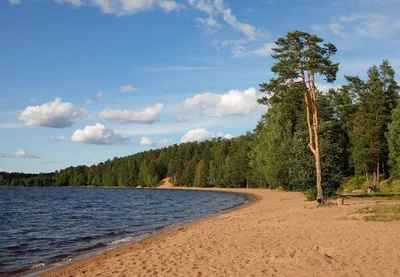 Россия, Алтайский край, Яровое - «ЯРОВОЕ 2017. Алтайское море - частичка  лета, которая останется в памяти и будет согревать даже в самую холодную  зиму» | отзывы