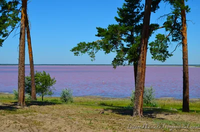 Озеро Большое Яровое - Подробное описание достопримечательности, фото, как  добраться? Находится в регионе Алтайский край
