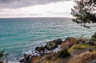 Крым: минусы и плюсы отдыха в самом маленьком городе Крыма - Алупка |  Апполинария Гордиенко | Дзен