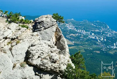 Алупка - телеграм чат, отдых в Крыму Россия, как добраться, когда поехать,  Воронцовский доворец, цены на отдых, отзывы