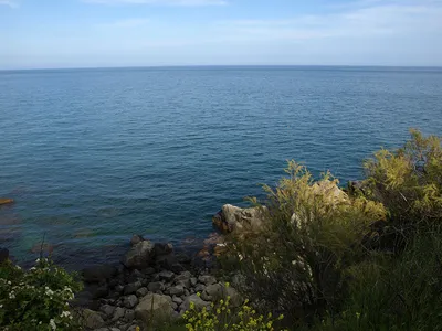 Нижний парк Воронцовского дворца (Алупка) — путеводитель по отдыху в Крыму