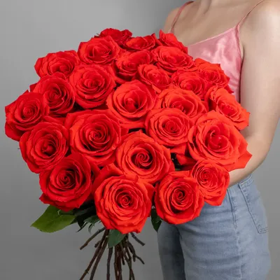 Роскошный букет роз алые цветы …» — создано в Шедевруме
