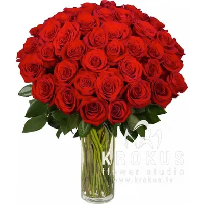 Розы алые 70 см премиум (Эквадор) доставка в Самаре | Самарский букет