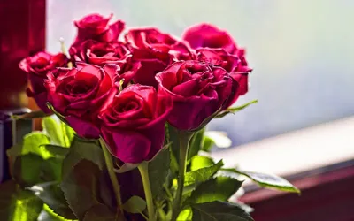 Алые розы, артикул F1179755 - 7100 рублей, доставка по городу. Flawery -  доставка цветов в Казани