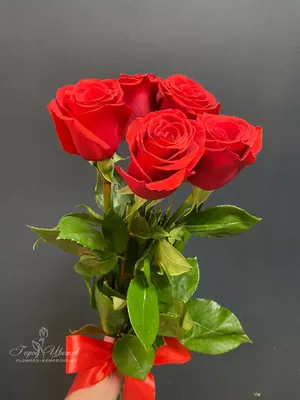 1️⃣ 25 алых роз – заказать с доставкой в Алматы от PRO-BUKET!