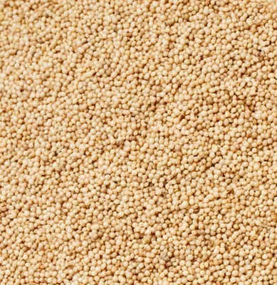 Семена амаранта 900 гр, пищевое зерно для проращивания, крупа для варки и  заваривания, суперфуд для еды, амарант - купить с доставкой по выгодным  ценам в интернет-магазине OZON (569166805)