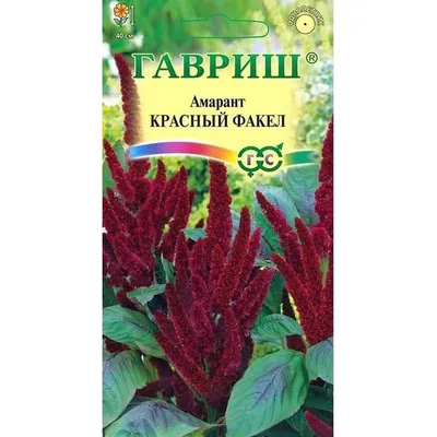 Купить семена Амарант Amaranthus Roter Dom в Москве: доставка семян по  России и СНГ - интернет-магазин «Сады Семирамиды»