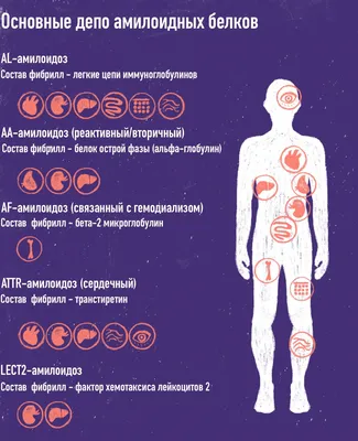 Амилоидоз - причины появления, симптомы заболевания, диагностика и способы  лечения