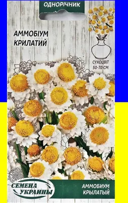 Аммобиум \"Крылатый\" ТМ \"Семена Украины\" 0.3г купить почтой в Одессе, Киеве,  Украине | Agro-Market