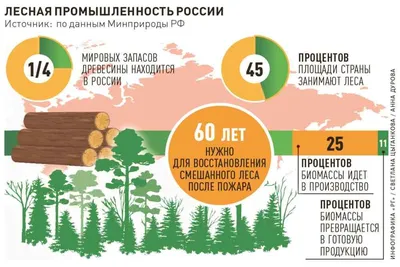 Река Дубна ниже леса... - Дубна и окрестности - Ландшафты и сообщества -  Плантариум