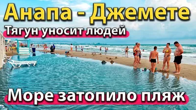 В Анапе началось цветение водорослей «кладофоры бродячей» - 8 июня 2023 -  93.ру