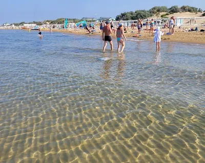 Сводит с ума»: туристы в восторге от чистейшей воды в Чёрном море