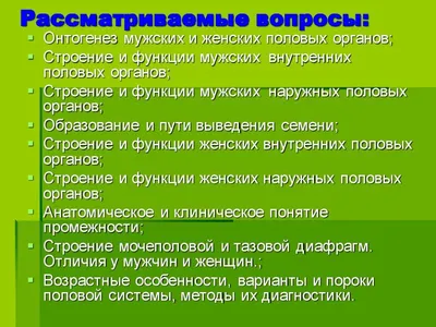 Презентация на тему: \"Анатомия и физиология женских половых органов.. Женские  половые органы наружные (доступные визуальному осмотру) наружные (доступные  визуальному осмотру)\". Скачать бесплатно и без регистрации.