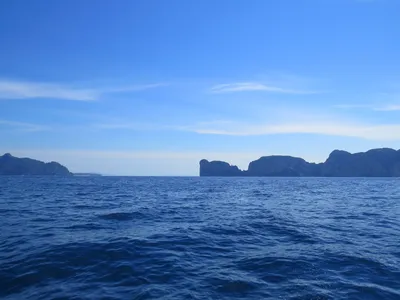 Андаманское море: кристально чистая вода и богатый подводный мир | Морские  обитатели | Дзен