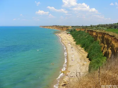 Морской заповедник в Андреевке, Приморский край — фото и отзывы