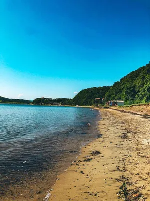 База отдыха Дача у моря - Андреевка, Приморский край, фото базы отдыха,  цены, отзывы