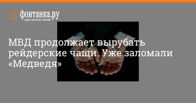 МВД продолжает вырубать рейдерские чащи. Уже заломали «Медведя» - 2 августа  2006 - Фонтанка.Ру