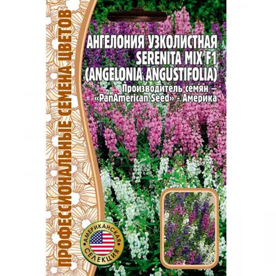 Семена Ангелония Узколистная Serenita mix F1, 3 драже купить оптом или  розницу