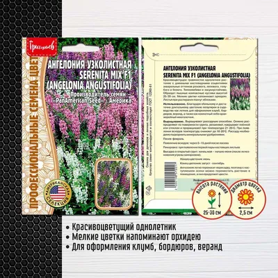 Ангелония узколистная - Ангелония - Травянистые растения для открытого  грунта - GreenInfo.ru