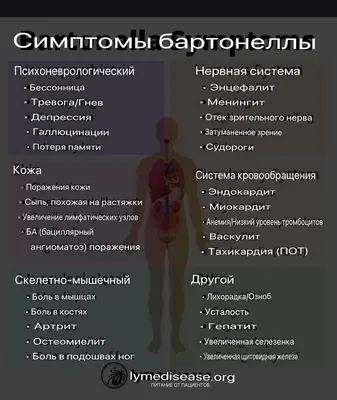 Бациллярный ангиоматоз - презентация онлайн