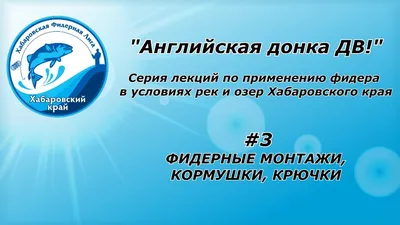 Как правильно собрать фидер снасть + карабин с бусинкой | Рыбалка, Советы  для рыболова, Рыболовные приманки