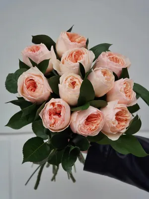 Букет из 11 английских роз juliet по цене 4476 руб. заказать с доставкой по  Москве - свежие цветы от интернет-магазина \"Во имя розы\"