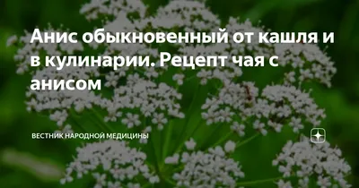 Аниса обыкновенного плоды, лекарственное растительное сырье, 50 г, 1 шт.  купить по цене от 125 руб в Санкт-Петербурге, заказать с доставкой в  аптеку, инструкция по применению, отзывы, аналоги, Иван-Чай