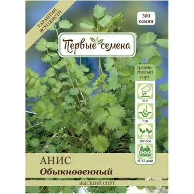 Анис обыкновенный или душистый: ареал, сорта, выращивание на участке,  технология посева, защита от болезней и вредителей, сбор урожая