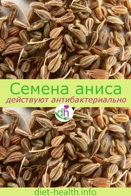 Родные травы Анис семена пищевые специя