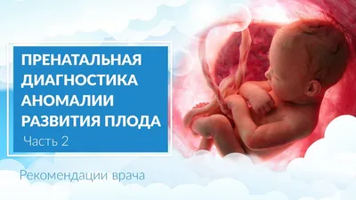 Новости - Ультразвуковое исследование пороков развития плода на 20-21  неделе беременности помогает выявить отклонения в развитии плода и риски  преждевременных родов.