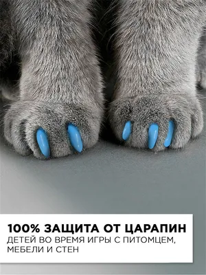 Bee's Knees / Антицарапки для кошек купить в Краснодаре в интернет магазине