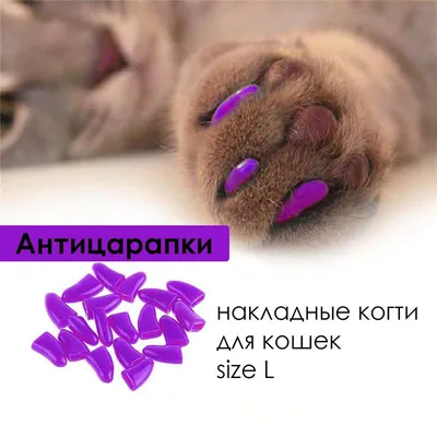 Антицарапки для кошек Top Pet / силиконовые колпачки накладные мягкие /  накладки на когти L 20 шт - купить с доставкой по выгодным ценам в  интернет-магазине OZON (1154020699)