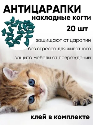Bee's Knees Антицарапки для кошек купить в Краснодаре в интернет магазине