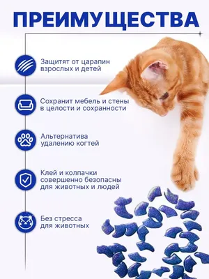 Антицарапки для кошек, накладки на ногти для животных, 20 штук - купить с  доставкой по выгодным ценам в интернет-магазине OZON (261496908)