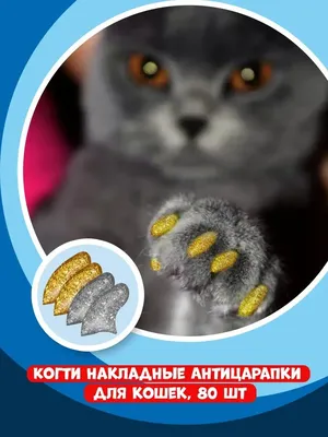 Бэрни Силиконовые чехлы антицарапки для кошек