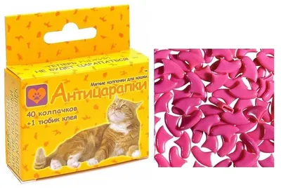Алеся (не) ветеринар | Антицарапки для кошек | Дзен