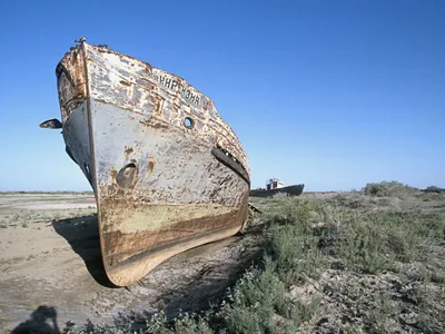 Аральское море переживает второе рождение