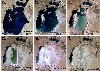 Ученые предложили дорожную карту для экологического упорядочивания района Аральского  моря - АЗЕРТАДЖ