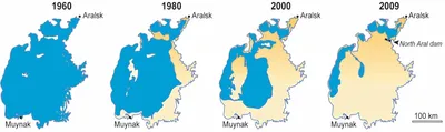 Уровень воды в Аральском море стремительно поднимается — Городские вести