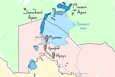 Всемирный банк назвал главную причину высыхания Аральского моря | Новости  Таджикистана ASIA-Plus