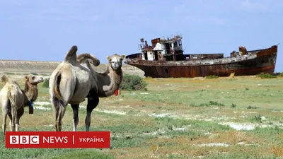 Что осталось от Аральского моря, показал космонавт с борта МКС