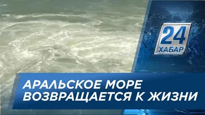 Чем угрожает Таджикистану высохший Арал? | Новости Таджикистана ASIA-Plus