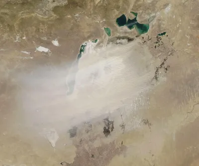 Спутник сфотографировал пылевую бурю над остатками Аральского моря