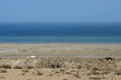 Eurasianet: Умирающее Аральское море превратили в достопримечательность |  KLOOP.KG - Новости Кыргызстана