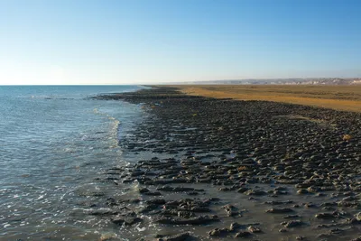 Уровень Аральского моря поднялся на 48 см
