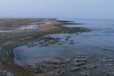Кризис Аральского моря — Исполнительный комитет Международного фонда  спасения Арала
