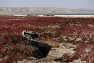 Как изменилось Аральское море за 22 года - Новости | Караван