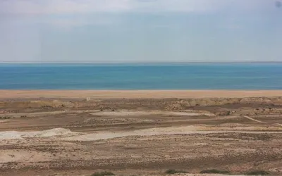 Ученые предложили дорожную карту для экологического упорядочивания района Аральского  моря - АЗЕРТАДЖ